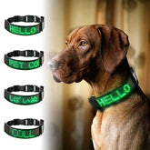 LED-Hundehalsband mit Lichtblitz, Leopardenhalsband, wiederaufladbar, programmierbare Lauftextanzeige